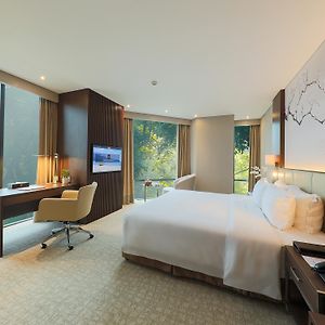 Premium King Room
